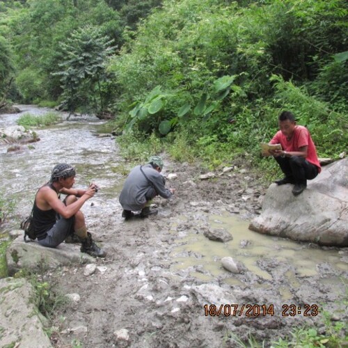 Kikukimtsu-Musuhkimtoh